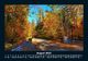Thumbnail-12