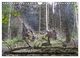 Thumbnail-13