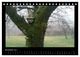 Thumbnail-13