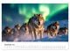 Thumbnail-14