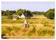 Thumbnail-8
