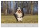 Thumbnail-11