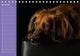 Thumbnail-12