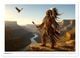 Thumbnail-14