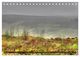 Thumbnail-12