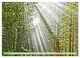 Thumbnail-14