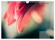 Thumbnail-11