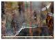 Thumbnail-12