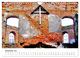 Thumbnail-14