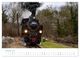 Thumbnail-11