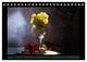 Thumbnail-12