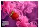Thumbnail-11