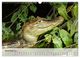 Thumbnail-14