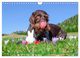 Thumbnail-9