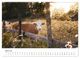 Thumbnail-9