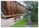 Thumbnail-12