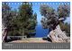 Thumbnail-13