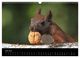 Thumbnail-11