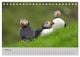 Thumbnail-10