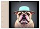 Thumbnail-11