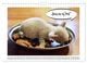 Thumbnail-11