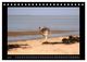 Thumbnail-12