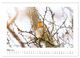 Thumbnail-8