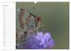 Thumbnail-11