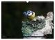 Thumbnail-12