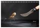 Thumbnail-9