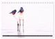 Thumbnail-13