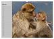 Thumbnail-10