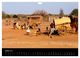 Thumbnail-12