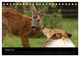 Thumbnail-10