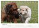 Thumbnail-13