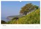 Thumbnail-11