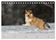 Thumbnail-10