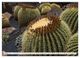Thumbnail-11