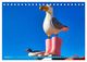 Thumbnail-8