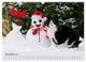 Thumbnail-14