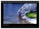 Thumbnail-13