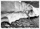 Thumbnail-10