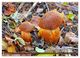 Thumbnail-13