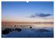 Thumbnail-8
