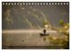 Thumbnail-11