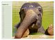 Thumbnail-12