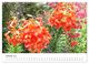 Thumbnail-12