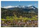 Thumbnail-12