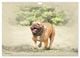 Thumbnail-14