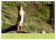 Thumbnail-9